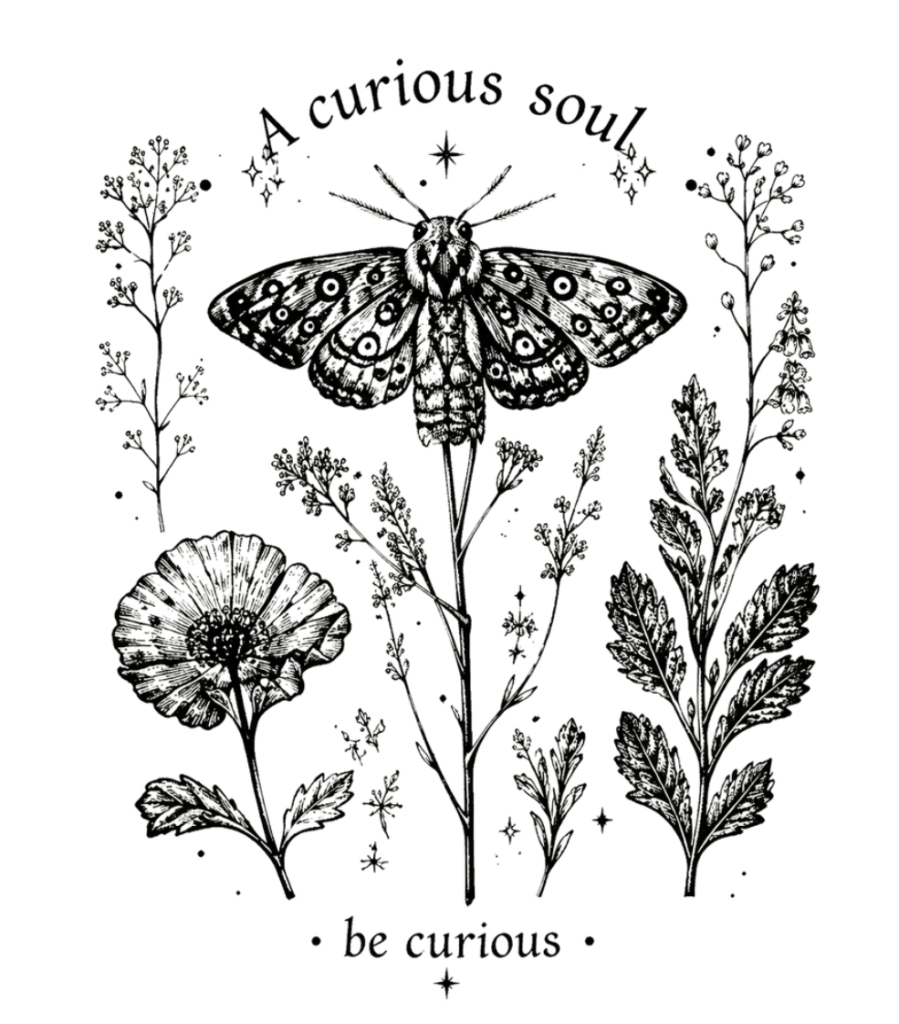 Detailed botanical artwork featuring a moth surrounded by wildflowers and delicate celestial accents, with the words "A Curious Soul" and "be curious".